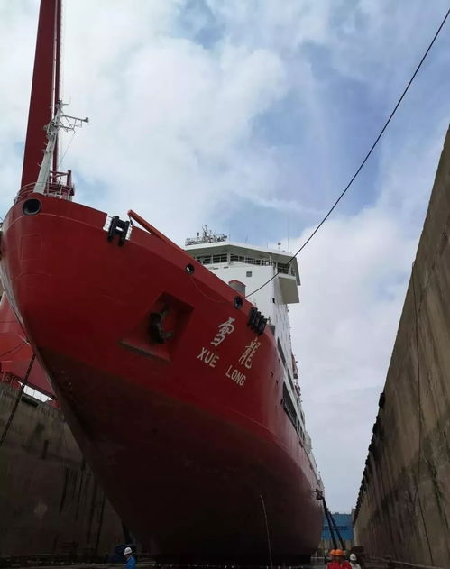 中国海洋报 雪龙 船进坞特检维修